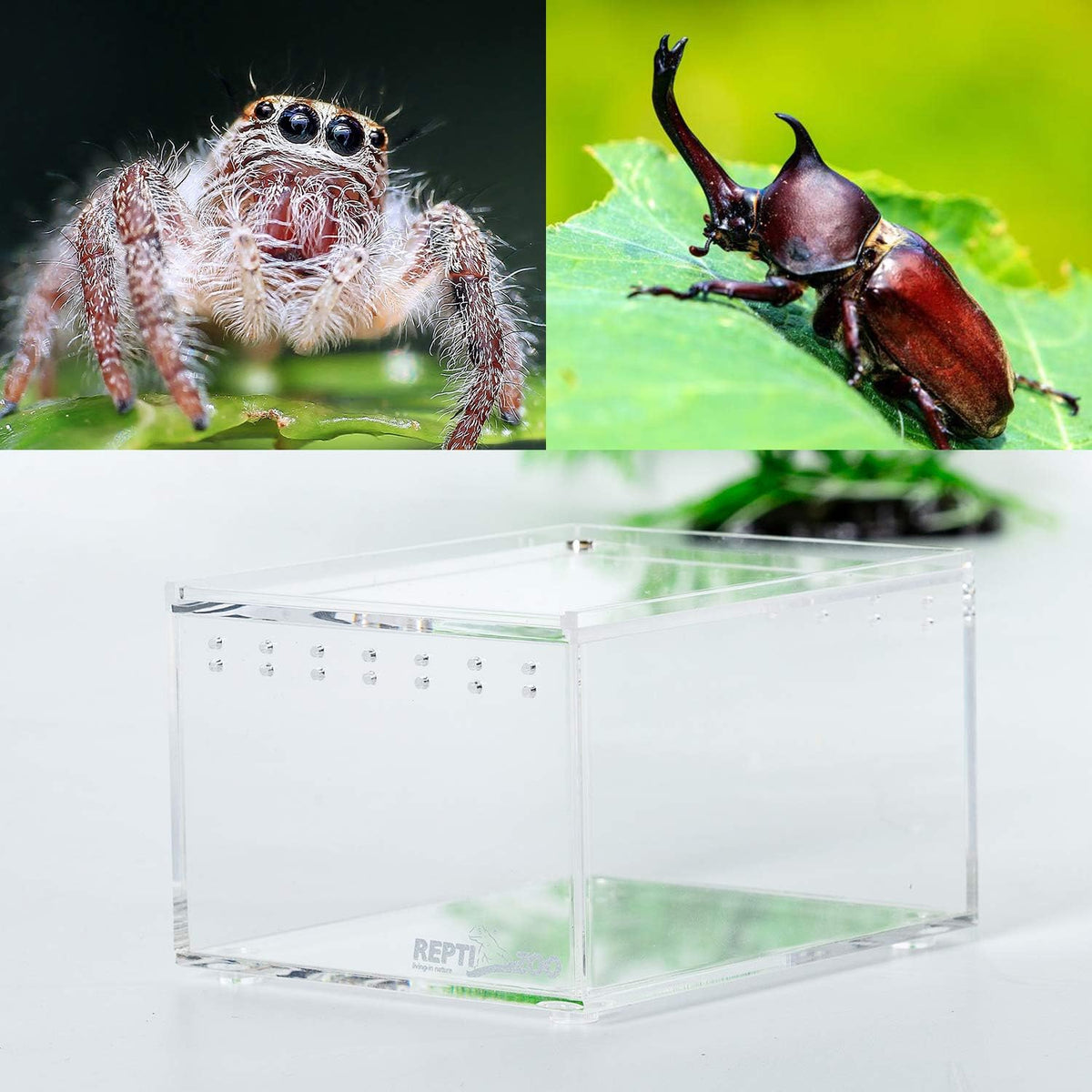 REPTI ZOO Magnetic Acrylic Case 4.1"x3.3"x2.5" Nano Enclosure Reptile Breeding Box Terrarium Cage