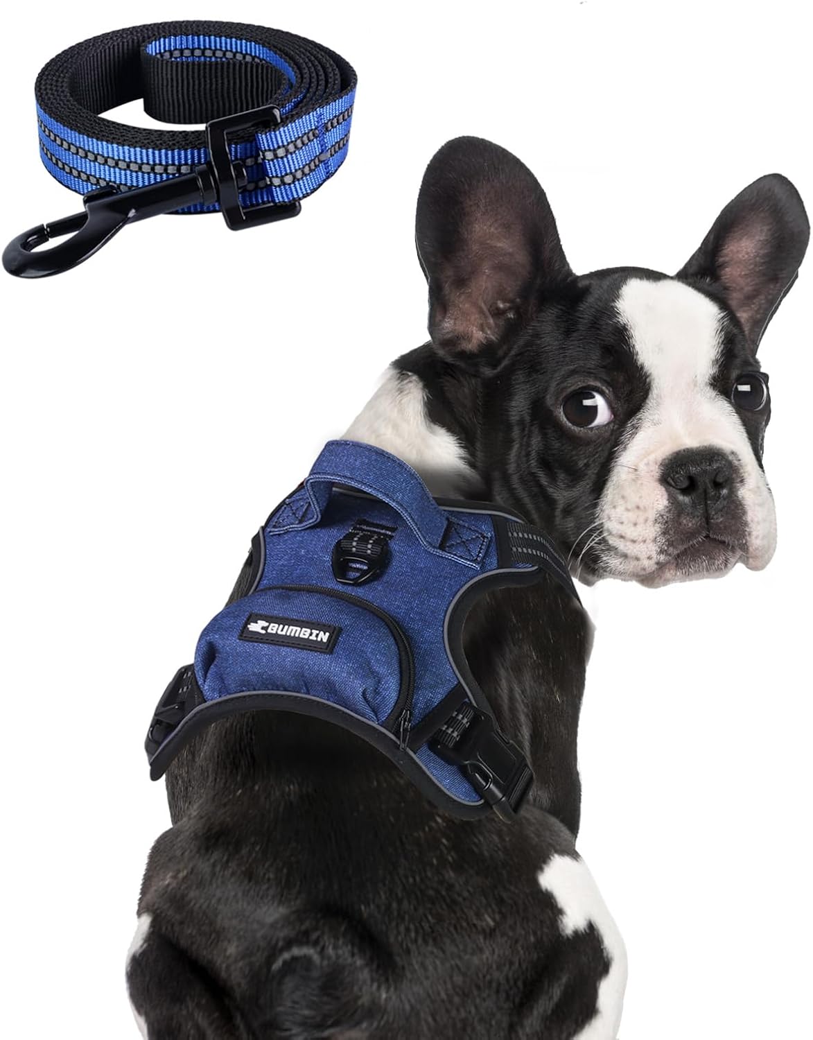 BUMBIN Dog Harness for Large Dogs, No Pull Adjustable No Choke Pet Vest with Dog Leash Fit Smart