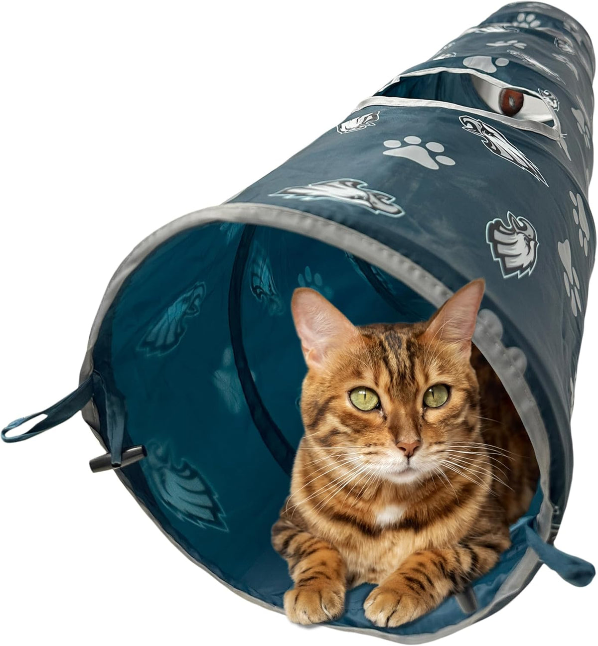 NFL Philadelphia Eagles Cat Tunnel Tube Toy with Plush Football Catnip and Feathers Collapsible