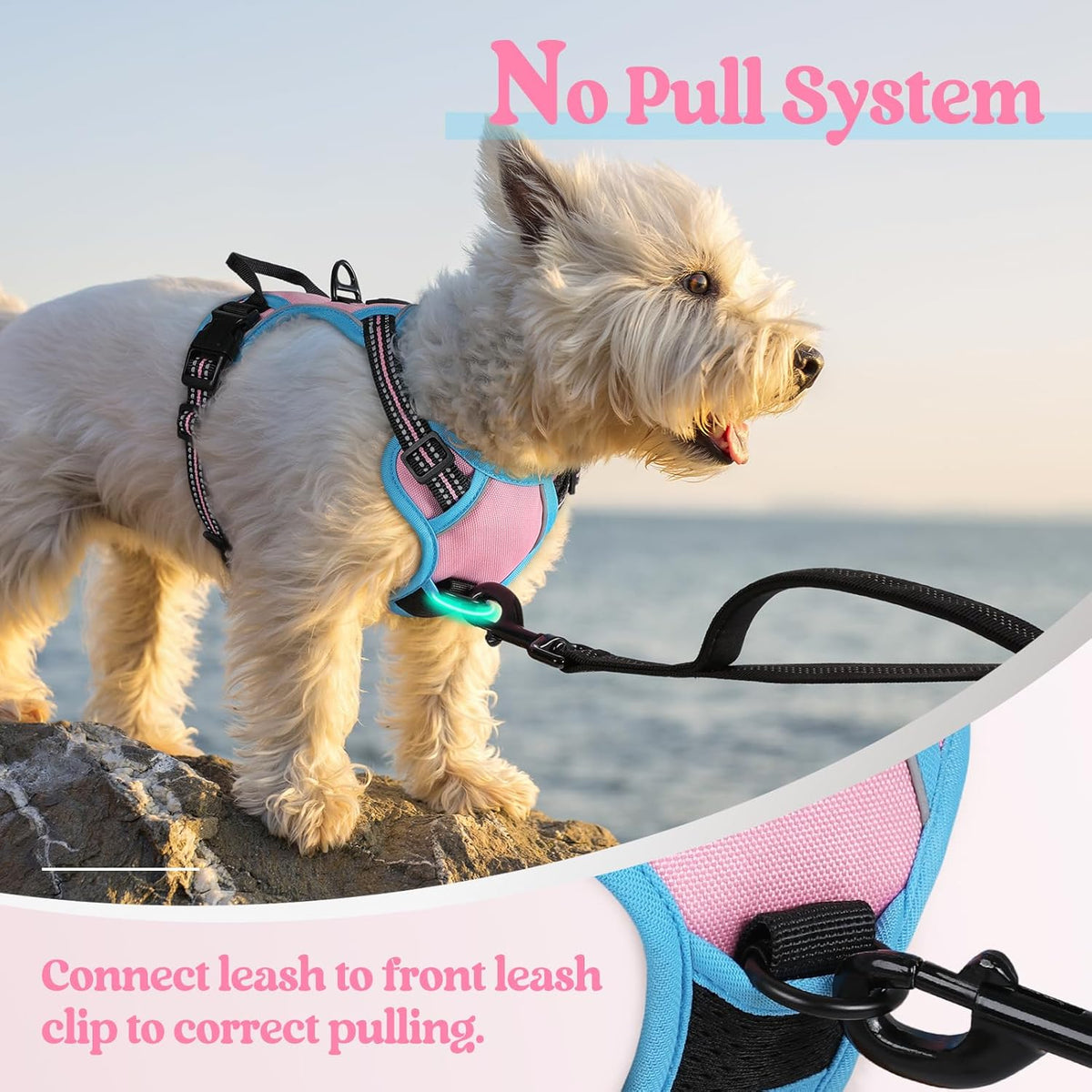 rabbitgoo Dog Harness No Pull with 2 Leash Clips, Adjustable Soft Padded, Reflective Oxford No