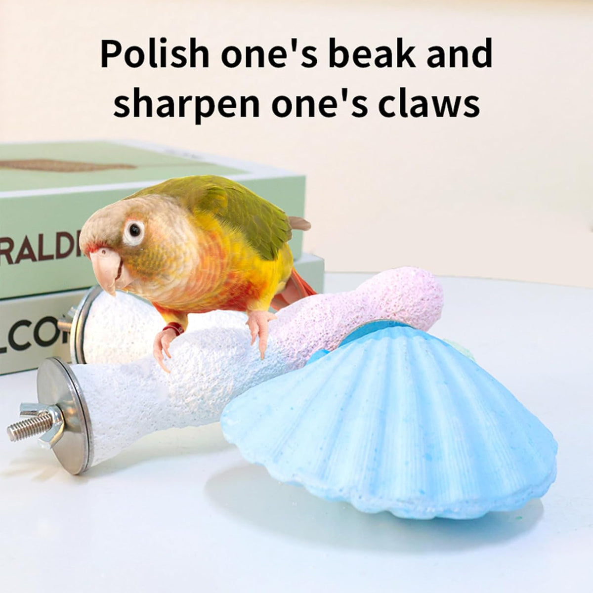 Parrot Perch Bird Perches for Cage Parrot Beak Grinding Stone Rough Surface High Calcium Mineral
