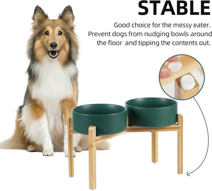 Ceramic Raised Double Bowls Set with Stand, Food & Water Bowls for Large Breed Dogs, Weighted Dog