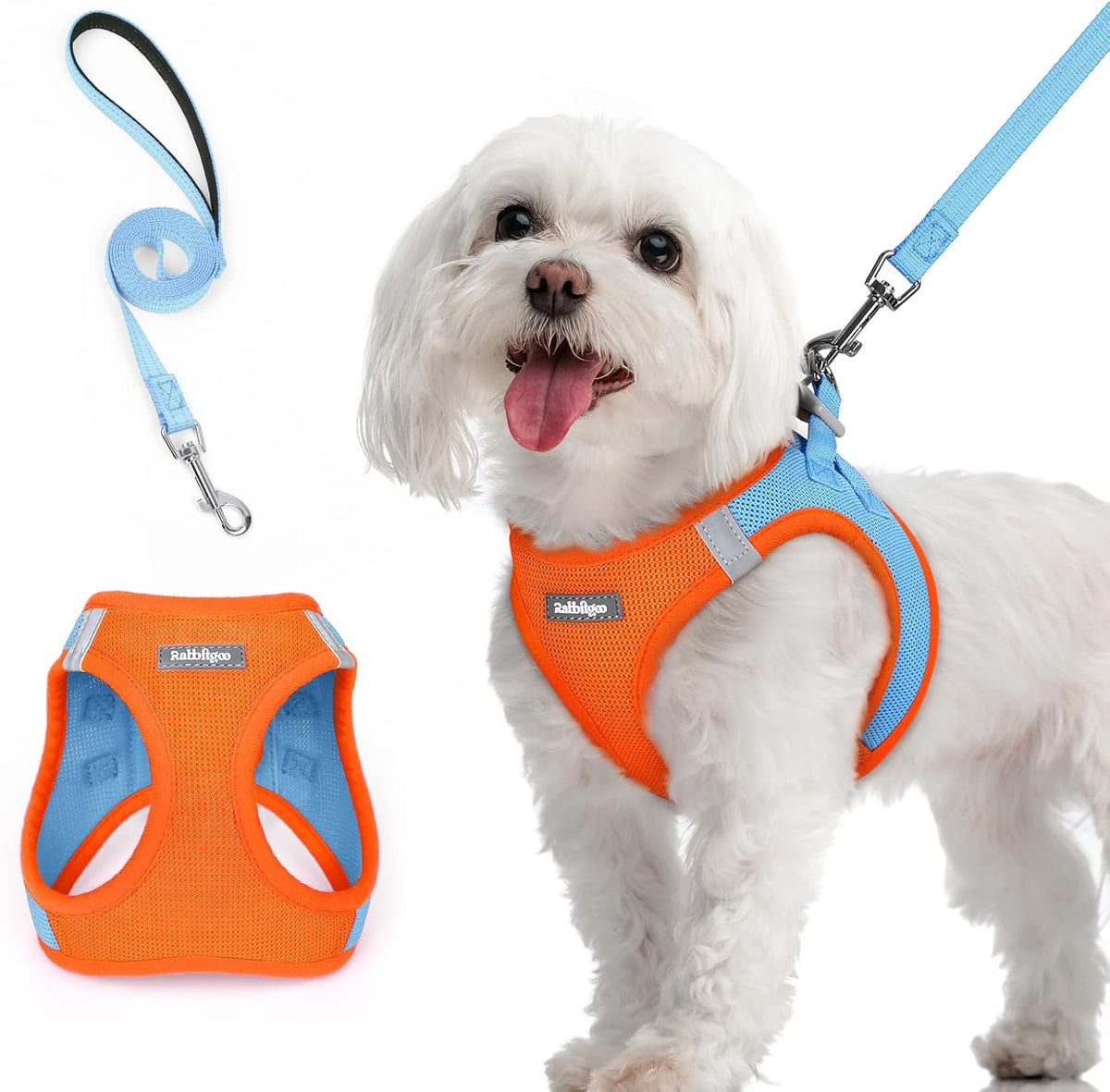rabbitgoo Dog Harness Small Sized and Leash Set, Step in Soft Light Puppy Vest, Breathable Mesh Pet