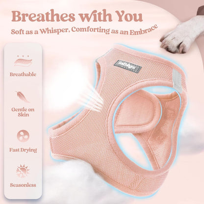rabbitgoo Dog Harness Small Sized and Leash Set, Step in Soft Light Puppy Vest, Breathable Mesh Pet