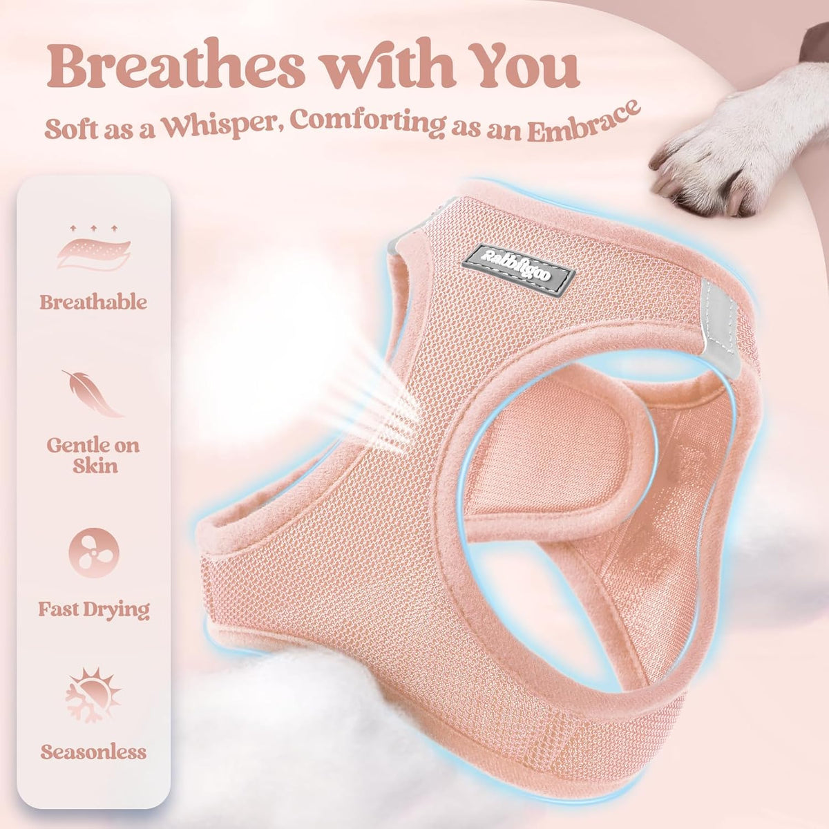 rabbitgoo Dog Harness Small Medium Sized and Leash Set, Step in Soft Light Puppy Vest, Breathable