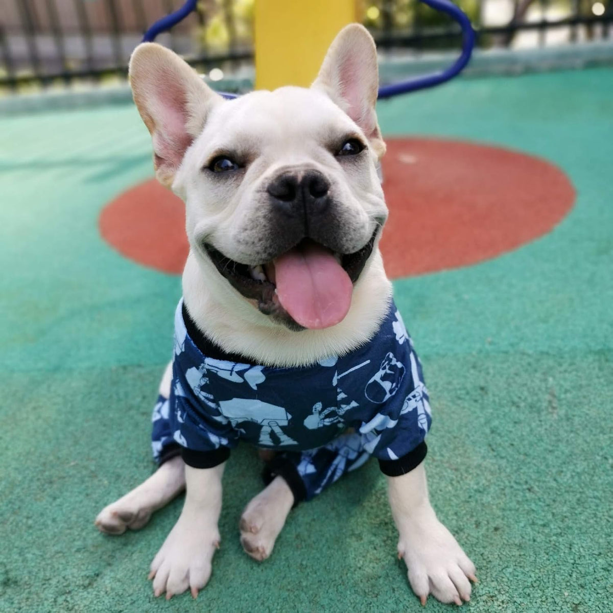 CuteBone Small Dogs Outfit Soft Puppy Onesies Pjs Dog Pajamas Pet Coat Cat Apparel Comfy Doggie