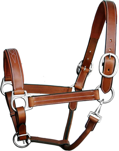 Exion Leather Horse Halter with Fancy Stitching | Black & Brown Padded Halter with Silver Brass