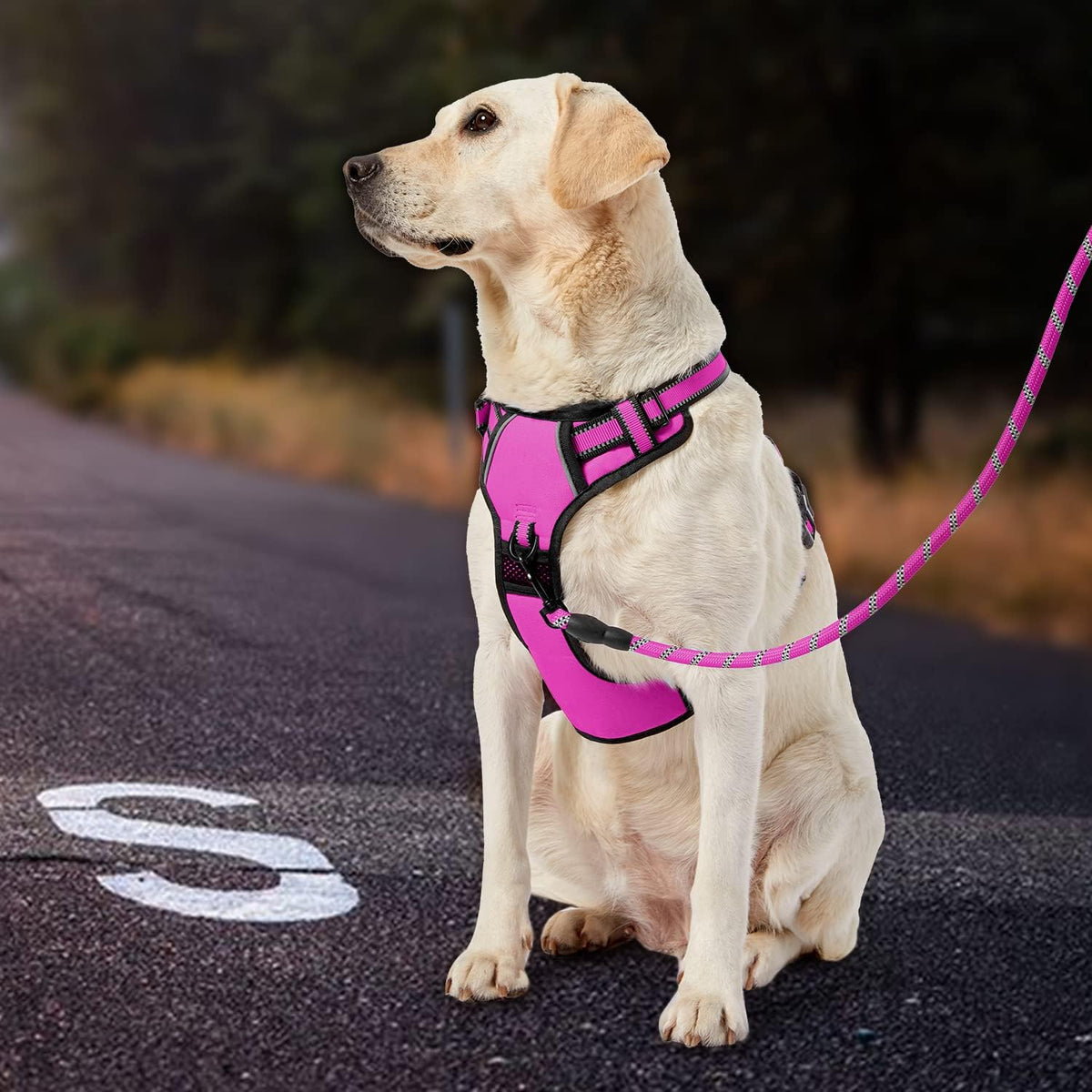 IVY&LANE No Pull Dog Harness for Large Dogs, Dog Vest Harness with Leash, Safety Belt and Storage