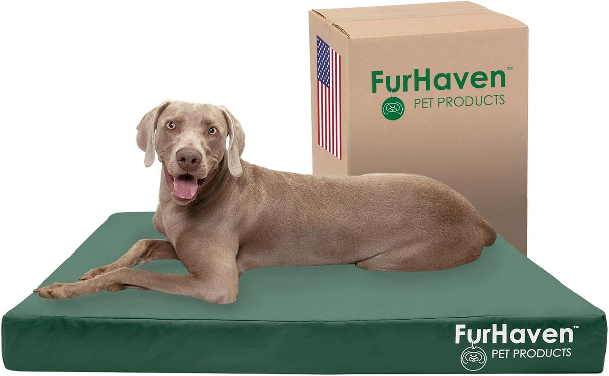 Furhaven Water-Resistant Cooling Gel Dog Bed for Large Dogs w/ Removable Washable Cover, For Dogs