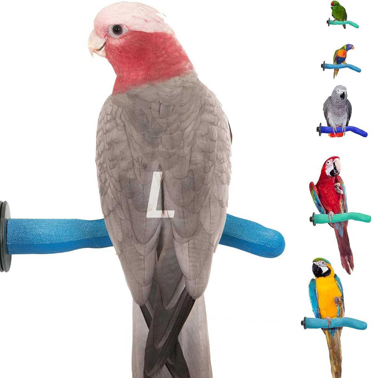Sweet Feet & Beak Safety Pumice Bird Perch, Large 1-1/2" X 12", Blue - Lightweight Grinding Bird