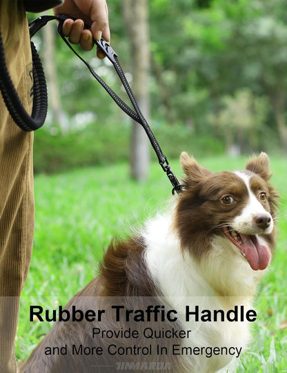 Heavy Duty Dog Leash, 4-6FT Shock Absorbing Dog Leashes with Traffic Handle and Comfortable Padded