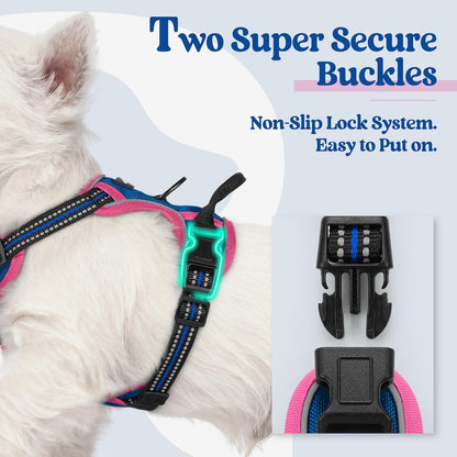 rabbitgoo Dog Harness No Pull with 2 Leash Clips, Adjustable Soft Padded, Reflective Oxford No