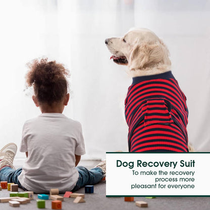 Kuoser Recovery Suit for Dogs Cats After Surgery, Professional Pet Recovery Shirt Dog Abdominal