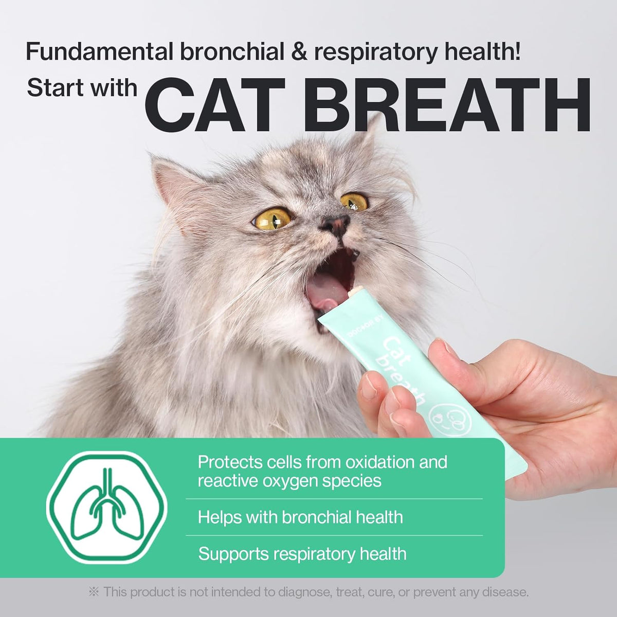 Dr.by Cat Breath Bronchial Supplements Cat Sneezing Treatment Asthma Cold Cough Nose Relief