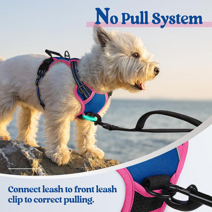 rabbitgoo Dog Harness No Pull with 2 Leash Clips, Adjustable Soft Padded, Reflective Oxford No