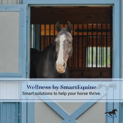 SmartEquine Fly Mask with UV Protection, Ears, and Mesh | Wide Secure Closure | UV Fly Mask for