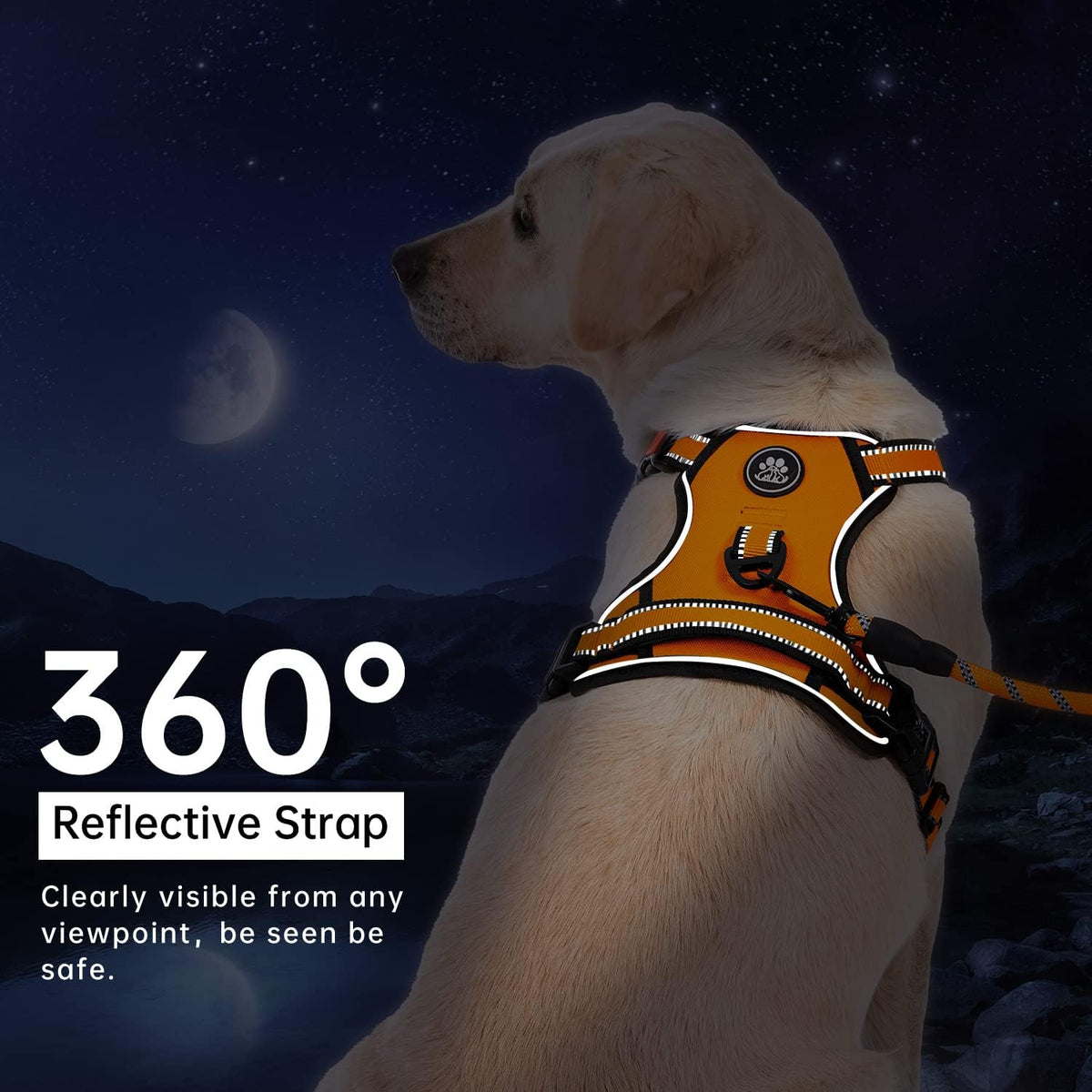 IVY&LANE No Pull Dog Harness for Large Dogs, Dog Vest Harness with Leash, Safety Belt and Storage