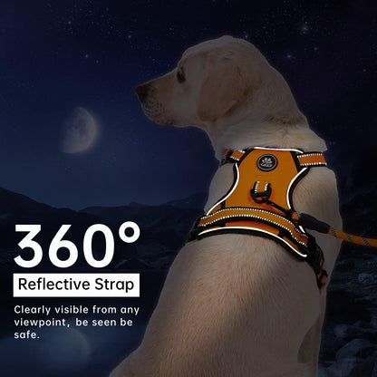 IVY&LANE No Pull Dog Harness for Large Dogs, Dog Vest Harness with Leash, Safety Belt and Storage