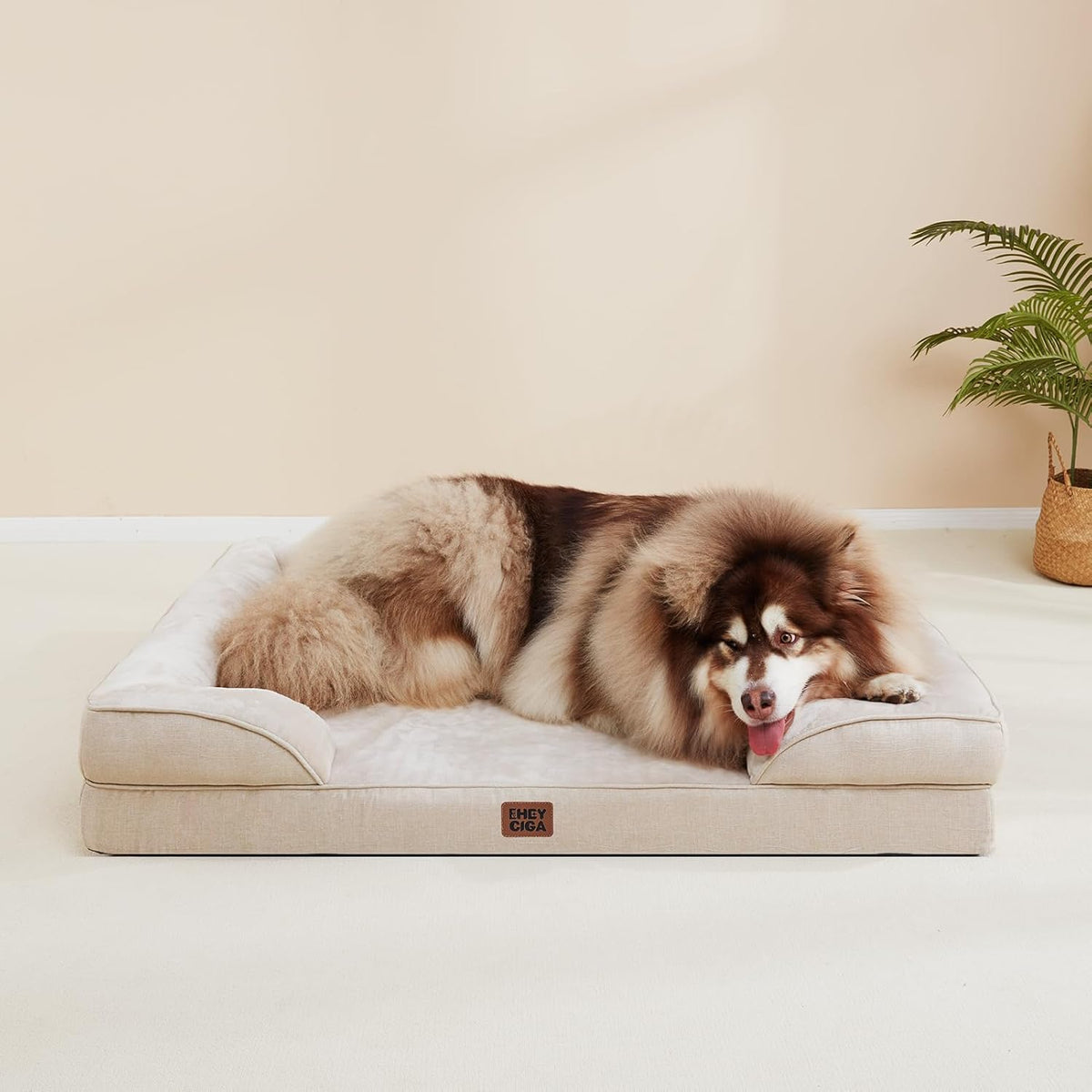 EHEYCIGA Orthopedic Dog Bed for Small Dogs, Waterproof Memory Foam Small Dog Beds with Sides