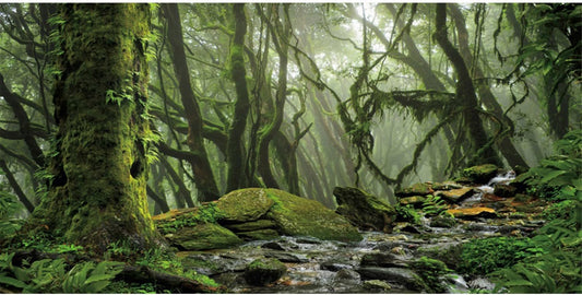 AWERT Foggy Forest Terrarium Background Stream Green Huge Tree Reptile Habitat Background Tropical