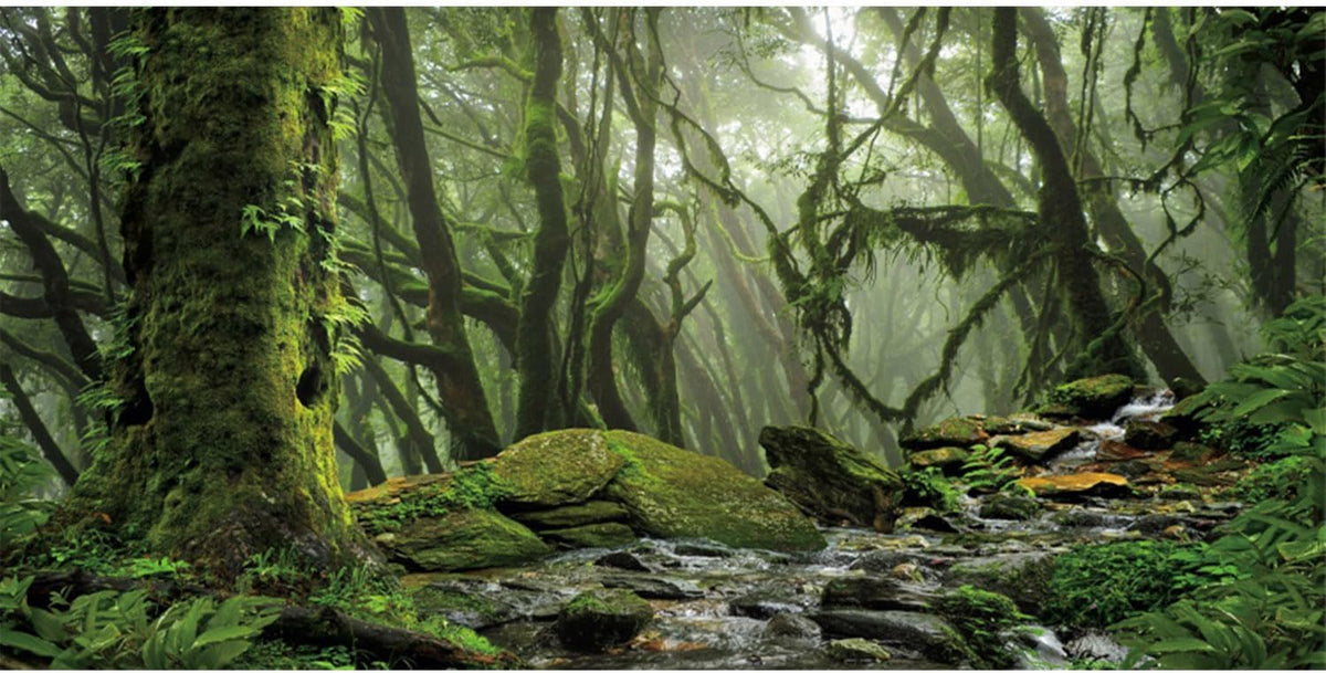 AWERT Foggy Forest Terrarium Background Stream Green Huge Tree Reptile Habitat Background Tropical