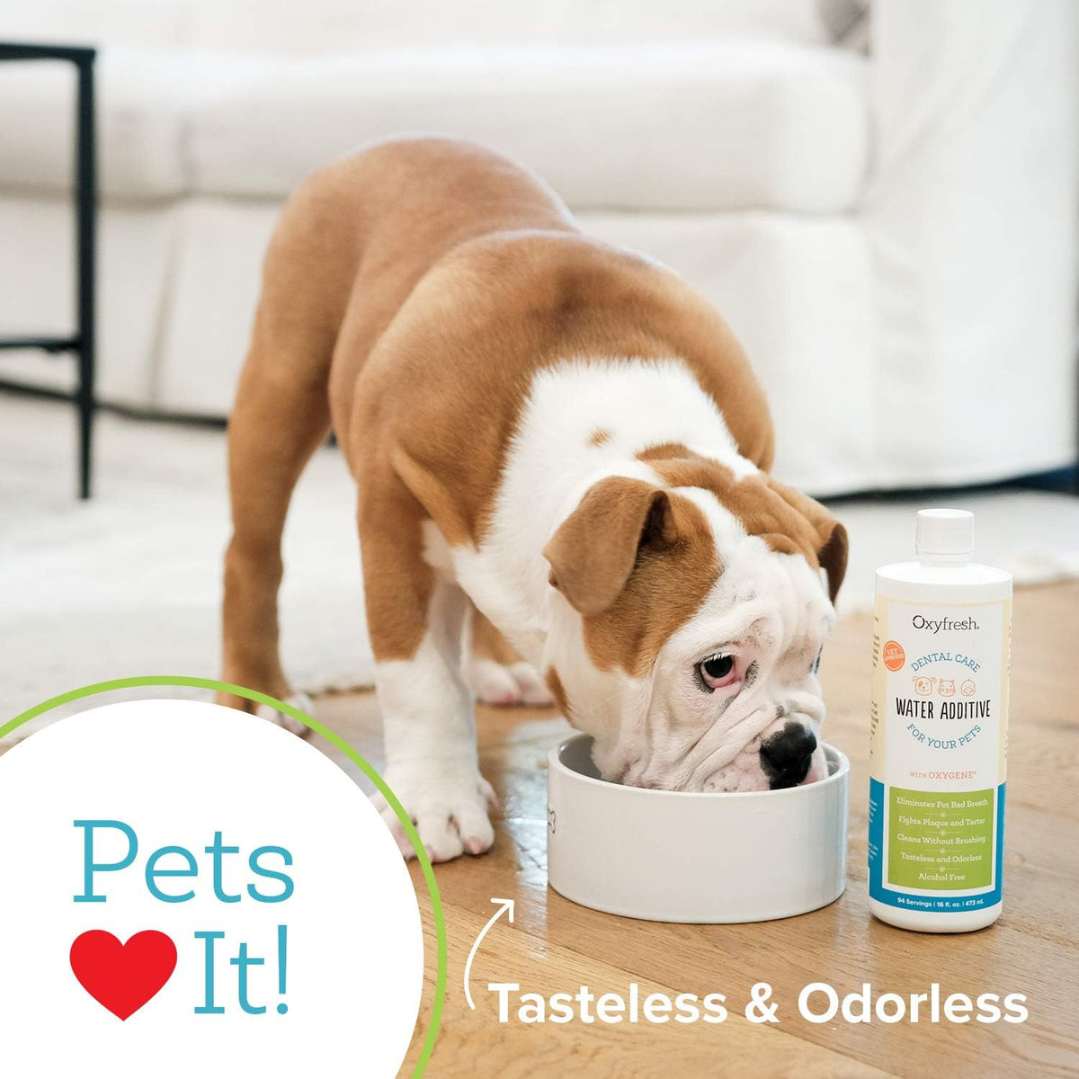 Oxyfresh Premium Pet Dental Care Solution Pet Water Additive: Best Way to Eliminate Bad Dog Breath