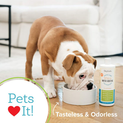 Oxyfresh Premium Pet Dental Care Solution Pet Water Additive: Best Way to Eliminate Bad Dog Breath