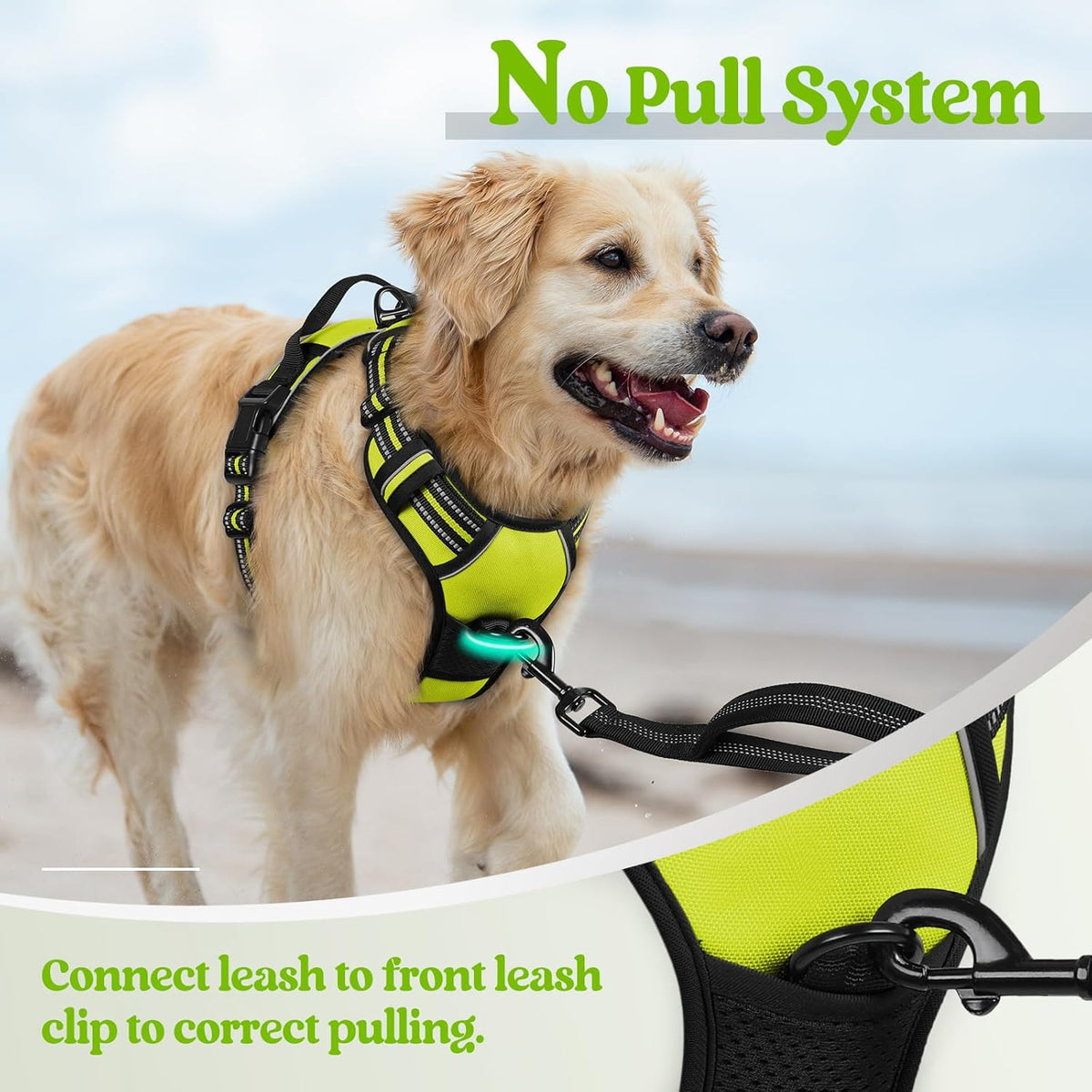 rabbitgoo Dog Harness No Pull with 2 Leash Clips, Adjustable Soft Padded, Reflective Oxford No