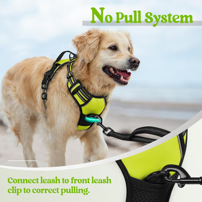 rabbitgoo Dog Harness No Pull with 2 Leash Clips, Adjustable Soft Padded, Reflective Oxford No