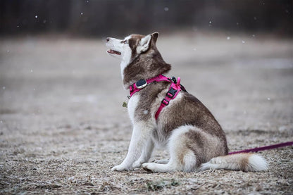 TRUE LOVE Adjustable No-Pull Dog Harness Reflective Pup Vest Harnesses Comfortable Control
