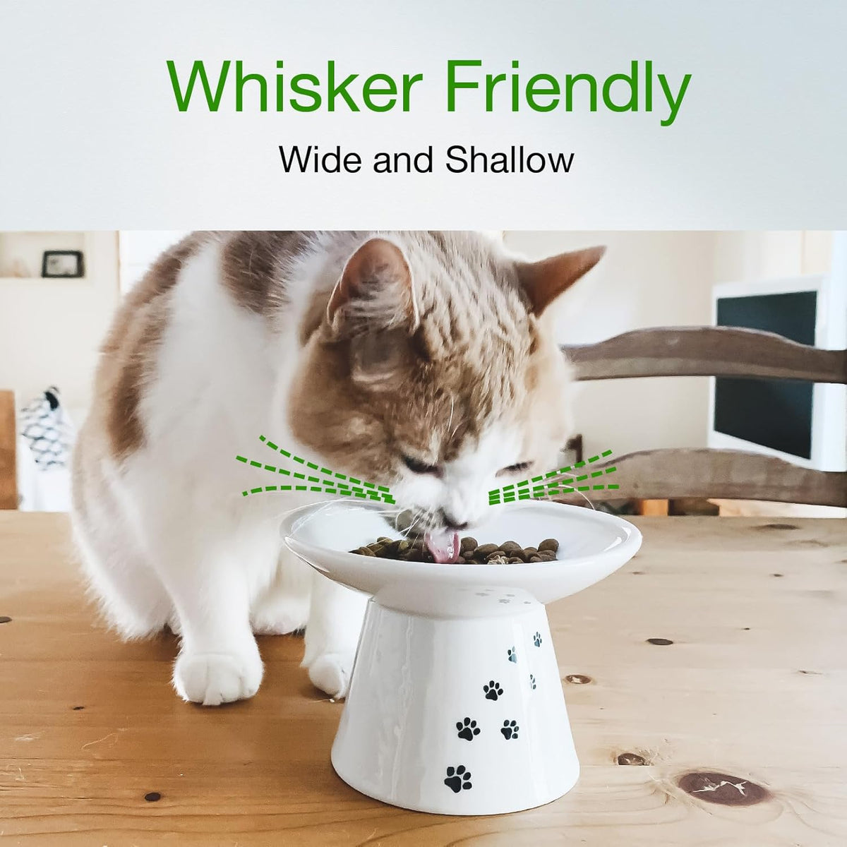 Necoichi Extra Wide Raised Cat Food Bowl, Elevated, Prevent Neck & Whisker Fatigue, Dishwasher and