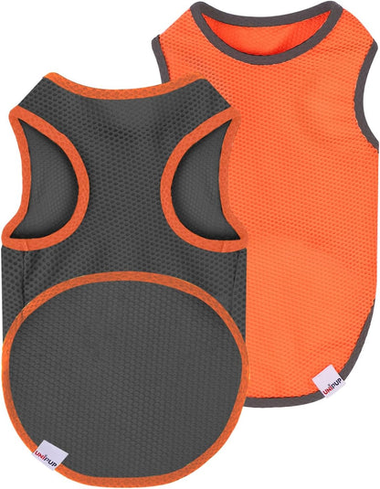 2 Pack Cooling Shirts for Dogs, Lightweight Mesh Breathable Dog Clothes for Small Dogs Boy