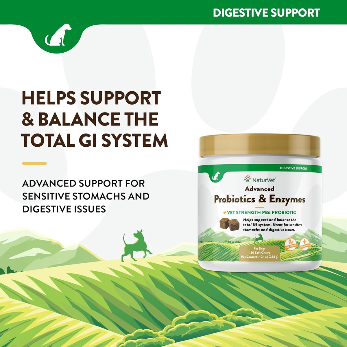 NaturVet Advanced Probiotics & Enzymes, PB6 Dog Soft Chews to Help Sensitive Stomachs and Digestive