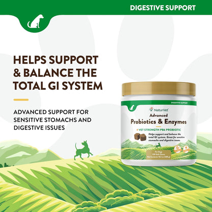 NaturVet Advanced Probiotics & Enzymes, PB6 Dog Soft Chews to Help Sensitive Stomachs and Digestive