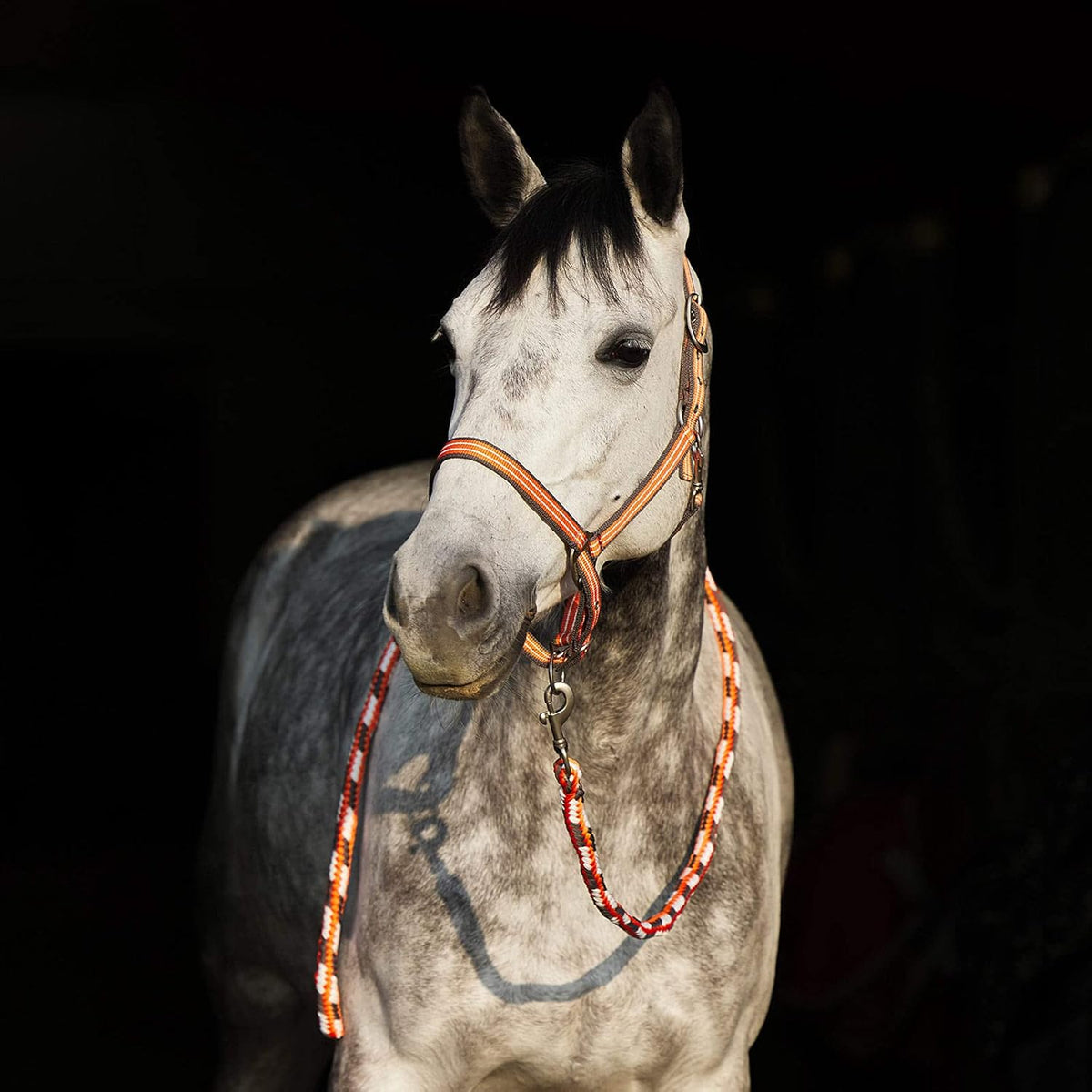 HORZE Adepto Adjustable Horse Halter | Soft, Durable Polyester - Coral Gold - Horse
