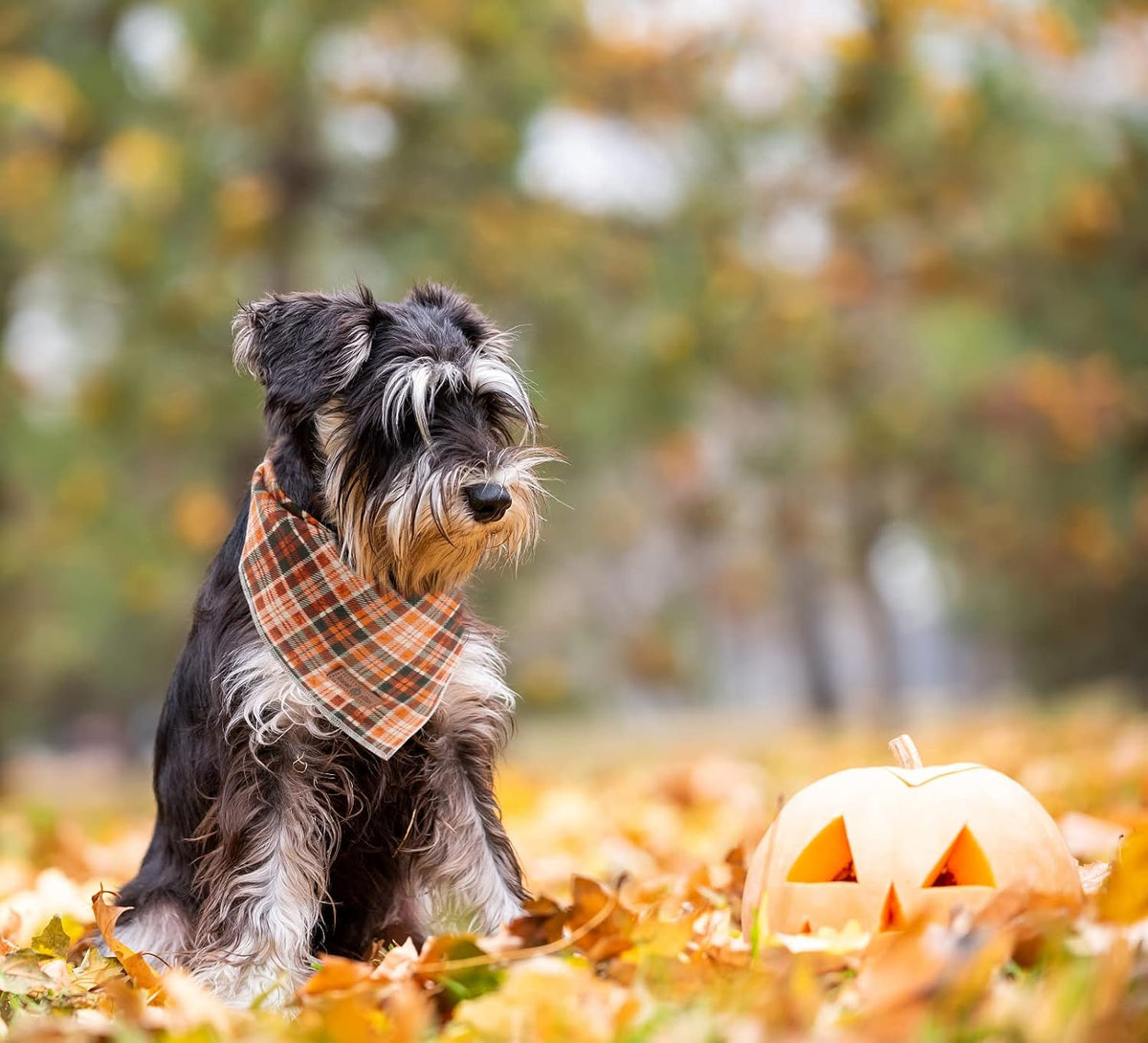 Lionet Plaid Dog Bandana 1PC - Pet Fall Washable Reversible Cotton Scarf, Adjustable Square