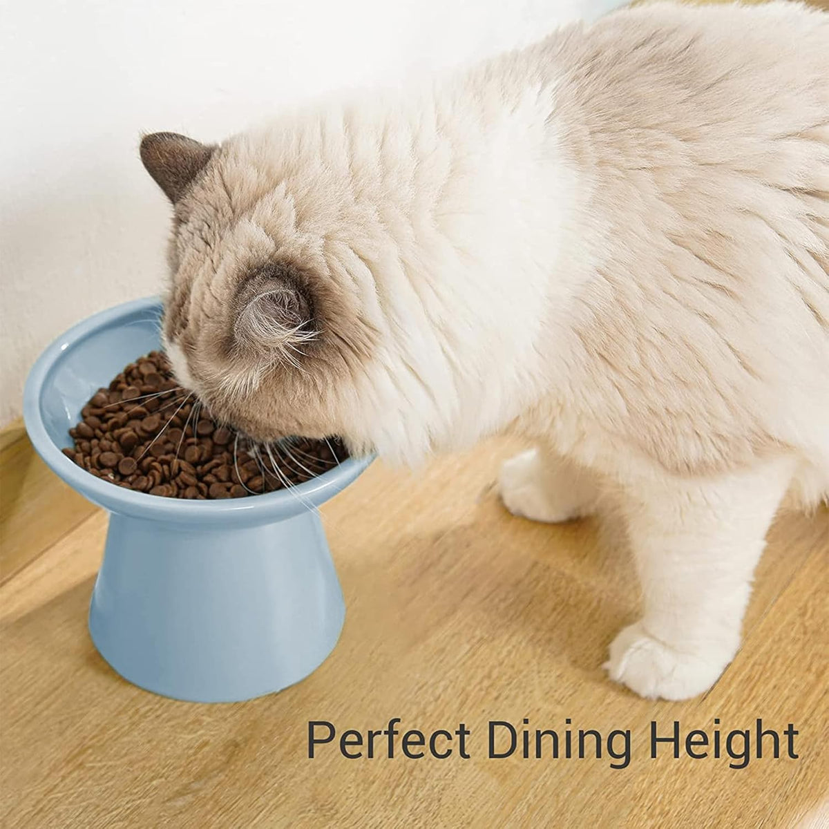 Extra Wide Elevated Ceramic Cat Food Bowl - 6.2" Shallow Dish for Whisker Fatigue Relief, 5" Height