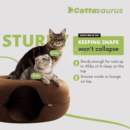 Cattasaurus Peekaboo Cat Cave for Multiple & Large Cats Up to 30-45 Lbs, Scratch Detachable &