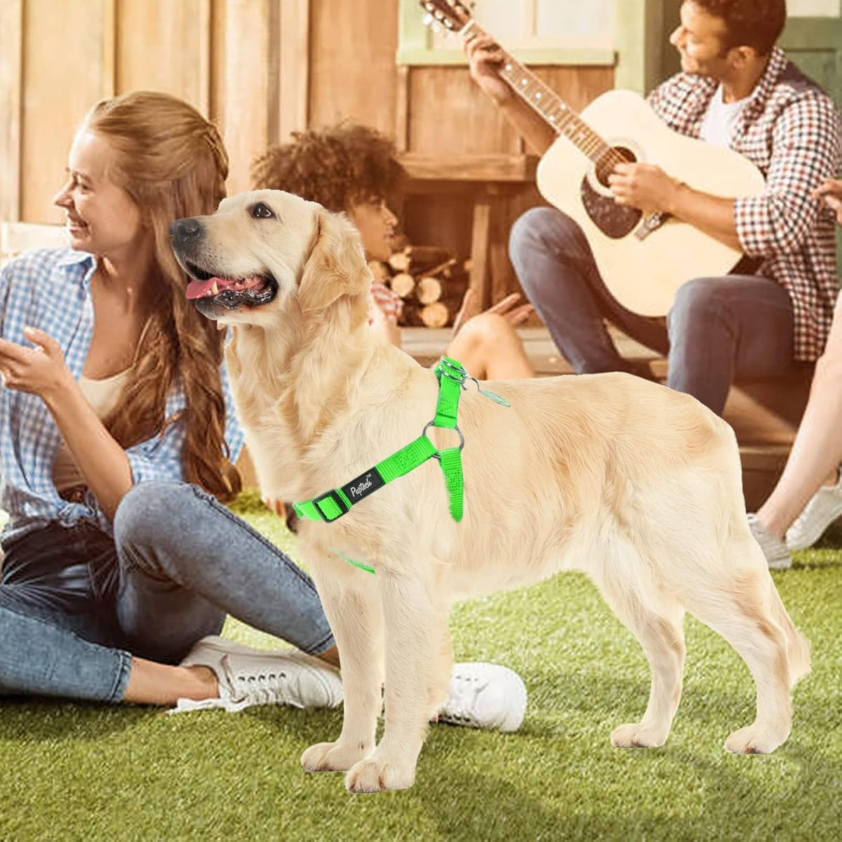 PUPTECK No Pull Dog Harness Soft Adjustable Basic Nylon Step in Puppy Vest Outdoor Walking with ID