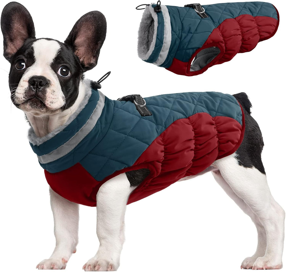 FUAMEY Dog Coat for Medium Dogs,Waterproof Dog Winter Jacket with Harness Built in Puppy Cold