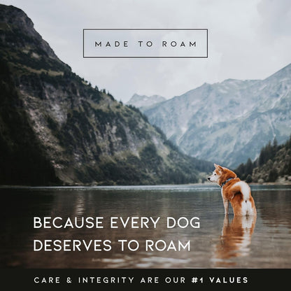 MADE TO ROAM Premium Explorer Harness - Y-Shaped Dog Harness with Adjustable Durable Nylon, Soft