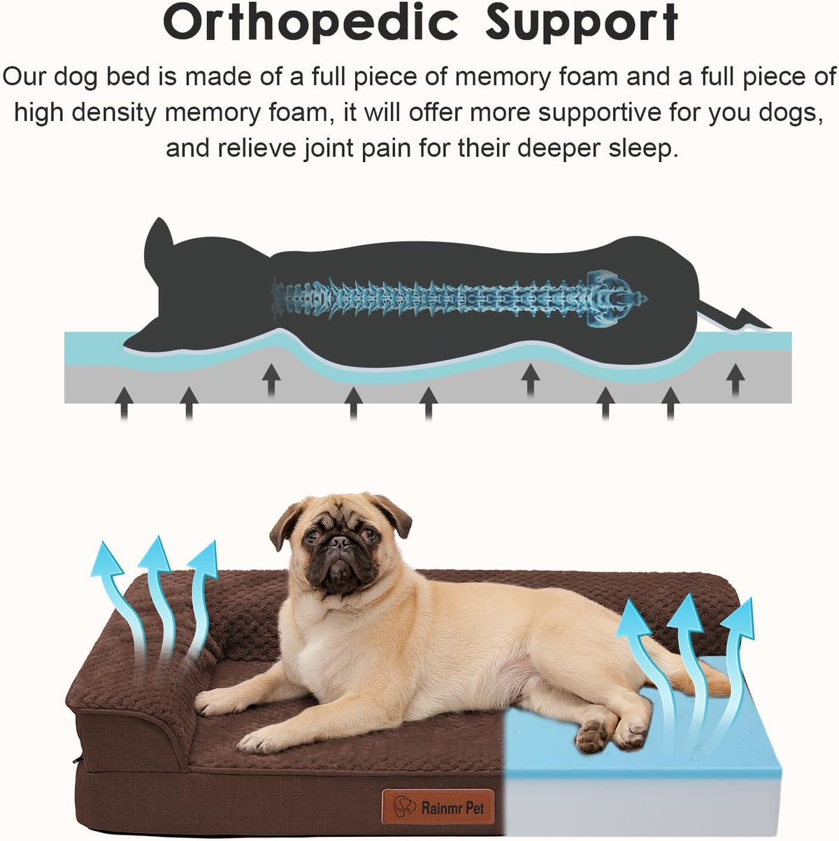 Orthopedic Dog Bed, 3 Inch Memory Foam Dog Beds for Small Dogs, Washable Removable Cover, Nonskid