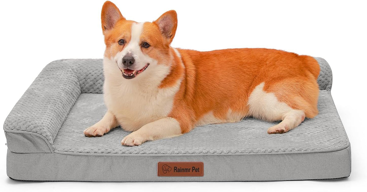 Orthopedic Dog Bed, 3 Inch Memory Foam Dog Beds for Large Dogs, Washable Removable Cover, Nonskid