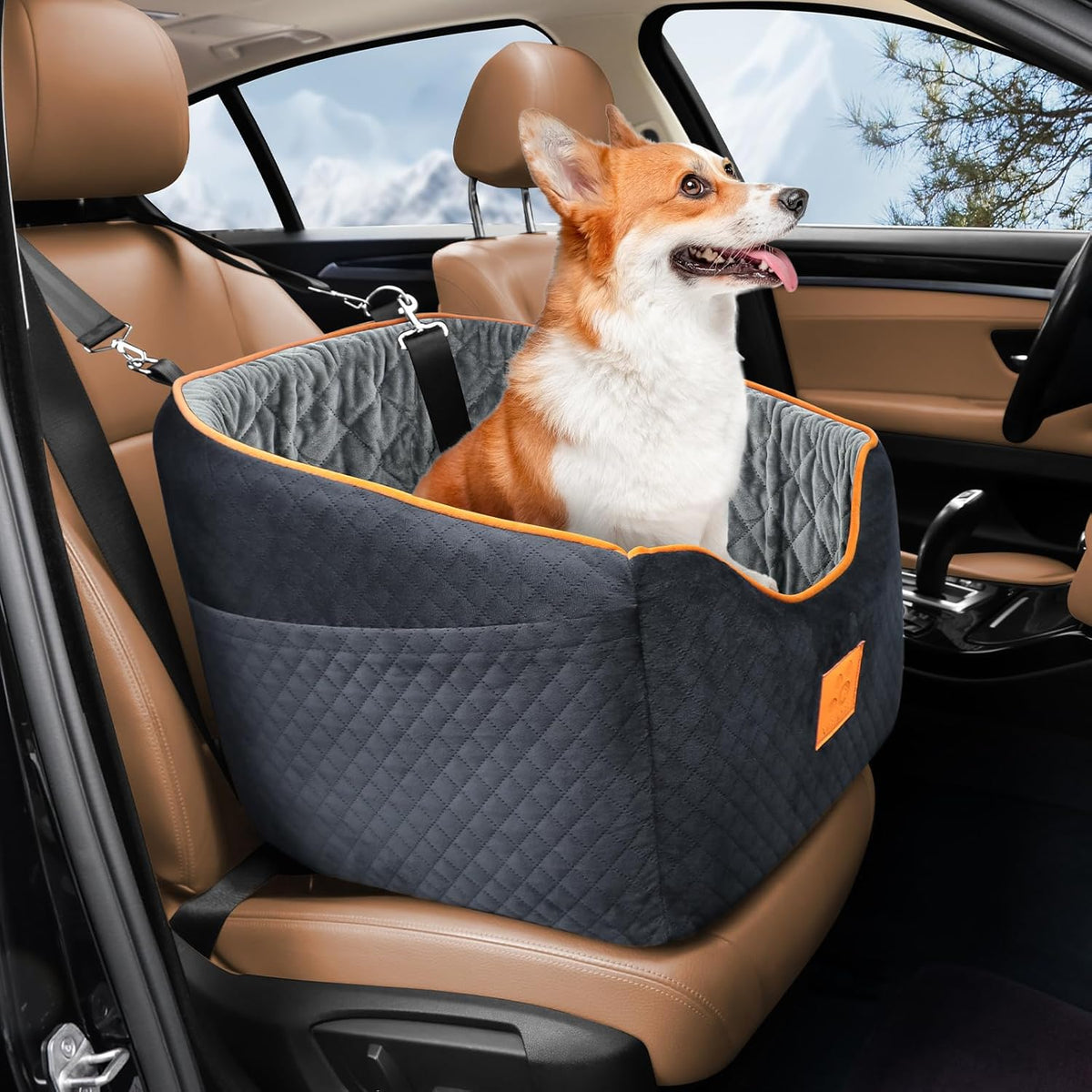 Dog Car Seat for Small Dogs, Memory Foam Booster Dog Seat for Dogs up to 35 lbs, Elevated Pet Car