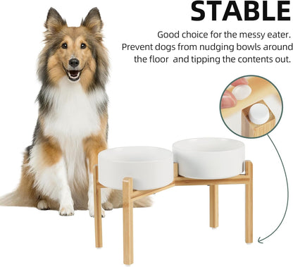 Ceramic Raised Double Bowls Set with Stand, Food & Water Bowls for Large Breed Dogs, Weighted Dog