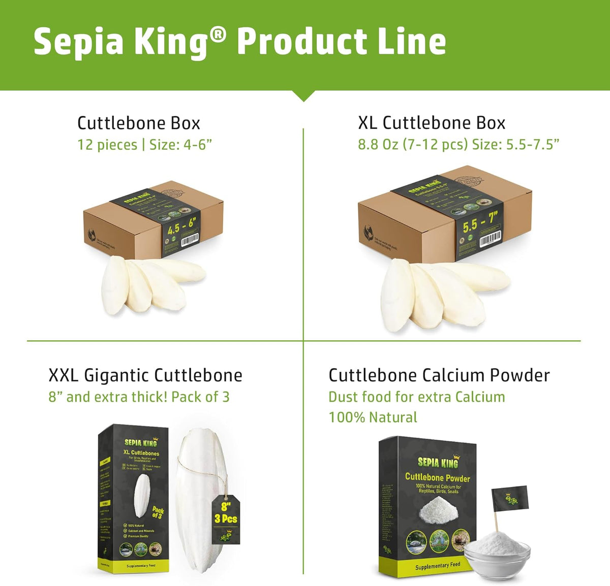 Medium - 100% Natural Calcium Supplement - Premium Cuttlebone Perfect for Birds, Tortoises, Snails