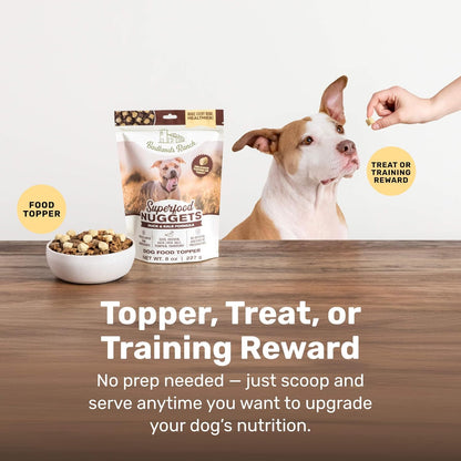 BADLANDS RANCH Superfood Nuggets- Premium, Freeze-Dried raw Dog Food Topper or Treat. Powerful