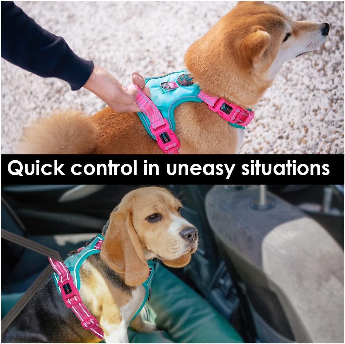 PHOEPET No Pull Dog Harness, Unique Colors Reflective Adjustable Dog Vest, with Soft Training