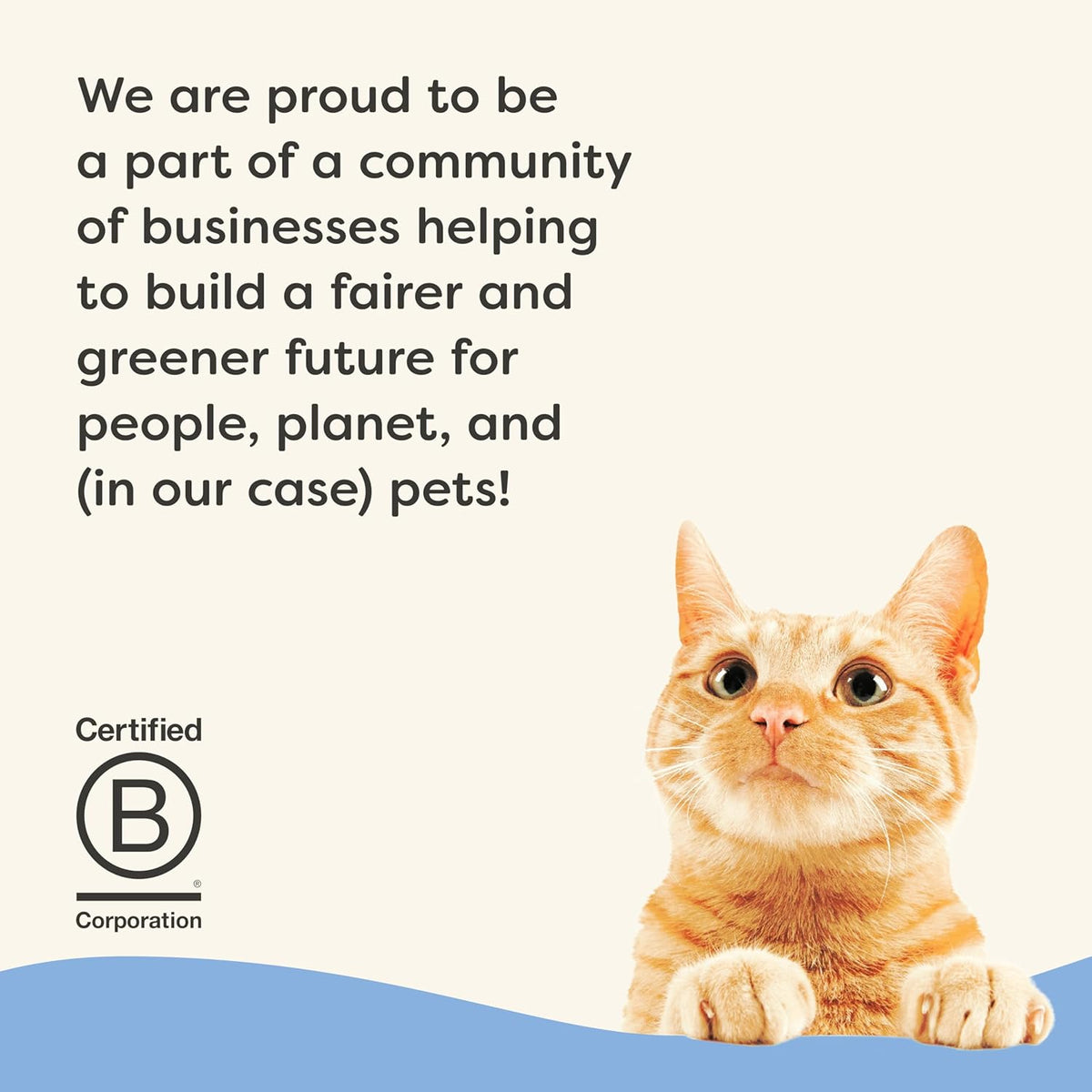 Applaws Vitality Wet Cat Food in Broth, Natural Canned Cat Food, Wet Food for Cats with Added