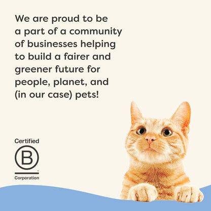 Applaws Vitality Wet Cat Food in Broth, Natural Canned Cat Food, Wet Food for Cats with Added